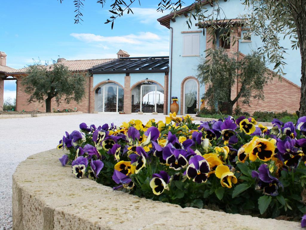Agriturismo L'Infinito Villa Gambettola ภายนอก รูปภาพ